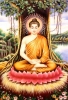 Đức Phật Như Lai (ngồi thiền)  - anh 1